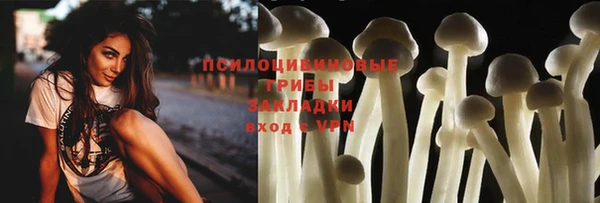 дурь Алексеевка