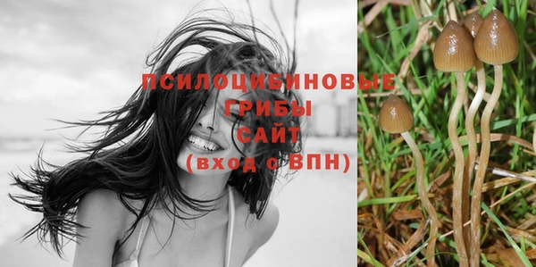 спайс Абинск