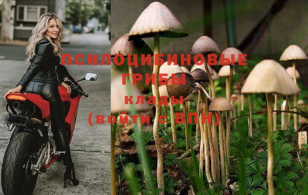 spice Алексин