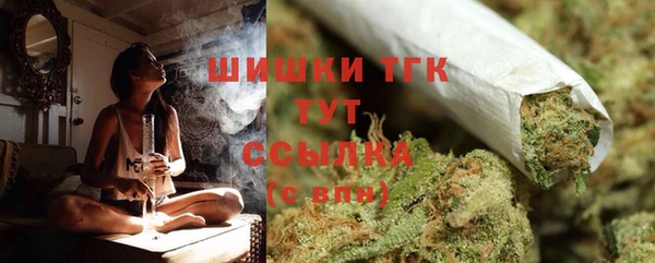 тгк Абаза
