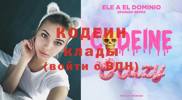 тгк Абаза