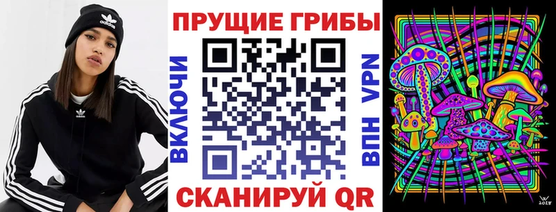 Галлюциногенные грибы Psilocybe Александровск-Сахалинский