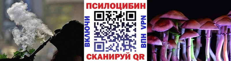 Псилоцибиновые грибы прущие грибы  наркошоп  гидра как войти  Александровск-Сахалинский 